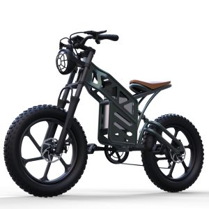X5 Fat Tire Electric Bike